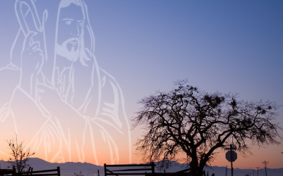 May 11th, 2025 – Easter 4