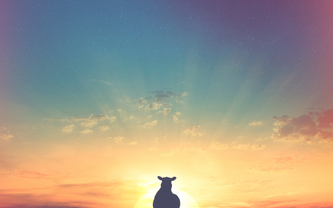 Evening Prayer – July 31st, 2022 – Pentecost 8