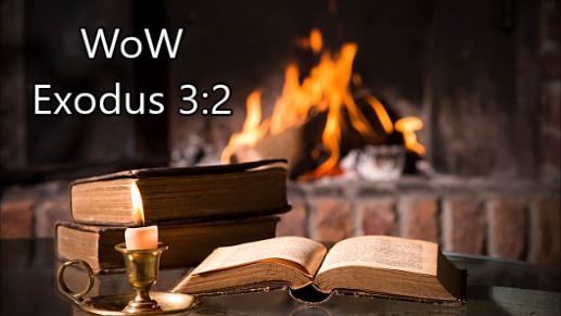 Bruce’s Word of the Week (WoW) – Oct 16th, 2022 – Pentecost 19
