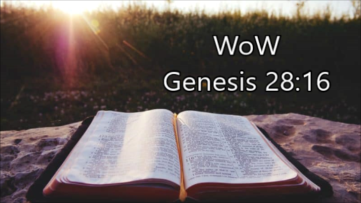 Bruce’s Word of the Week (WoW) – Nov 6th, 2022 – Pentecost 22