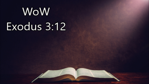 Bruce’s Word of the Week (WoW) – Nov 13th, 2022 – Pentecost 23