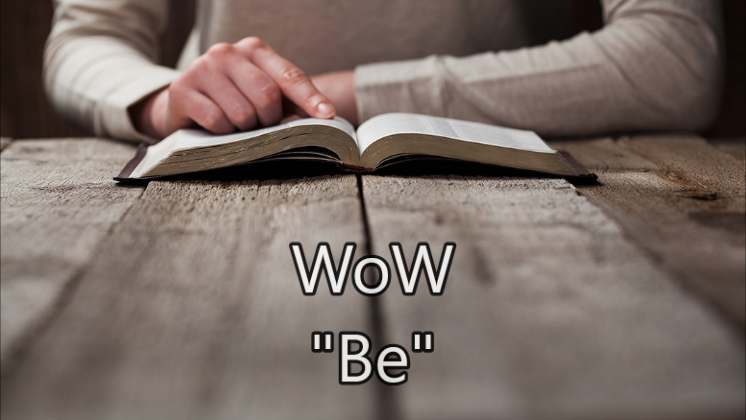 Bruce’s Word of the Week (WoW) – Nov 20th, 2022 – Reign of Christ