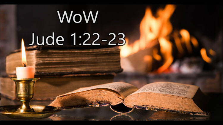 Bruce’s Word of the Week (WoW) – May 21st, 2023 – Ascension Sunday