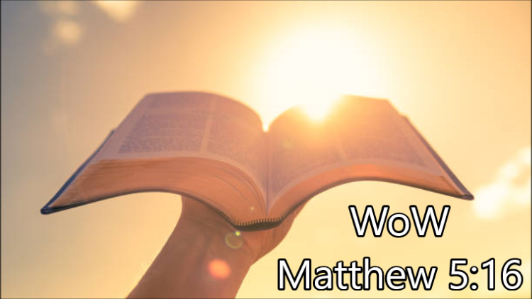 Bruce’s Word of the Week (WoW) – June 18th, 2023 – Pentecost 3