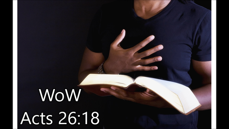 Bruce’s Word of the Week (WoW) – June 25th, 2023 – Pentecost 4