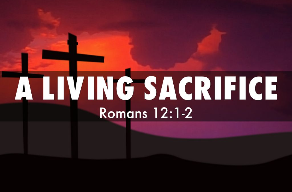 Aug 27th 2023 – Pentecost 13