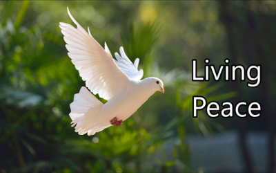 Take 5 with Bruce – Living Peace